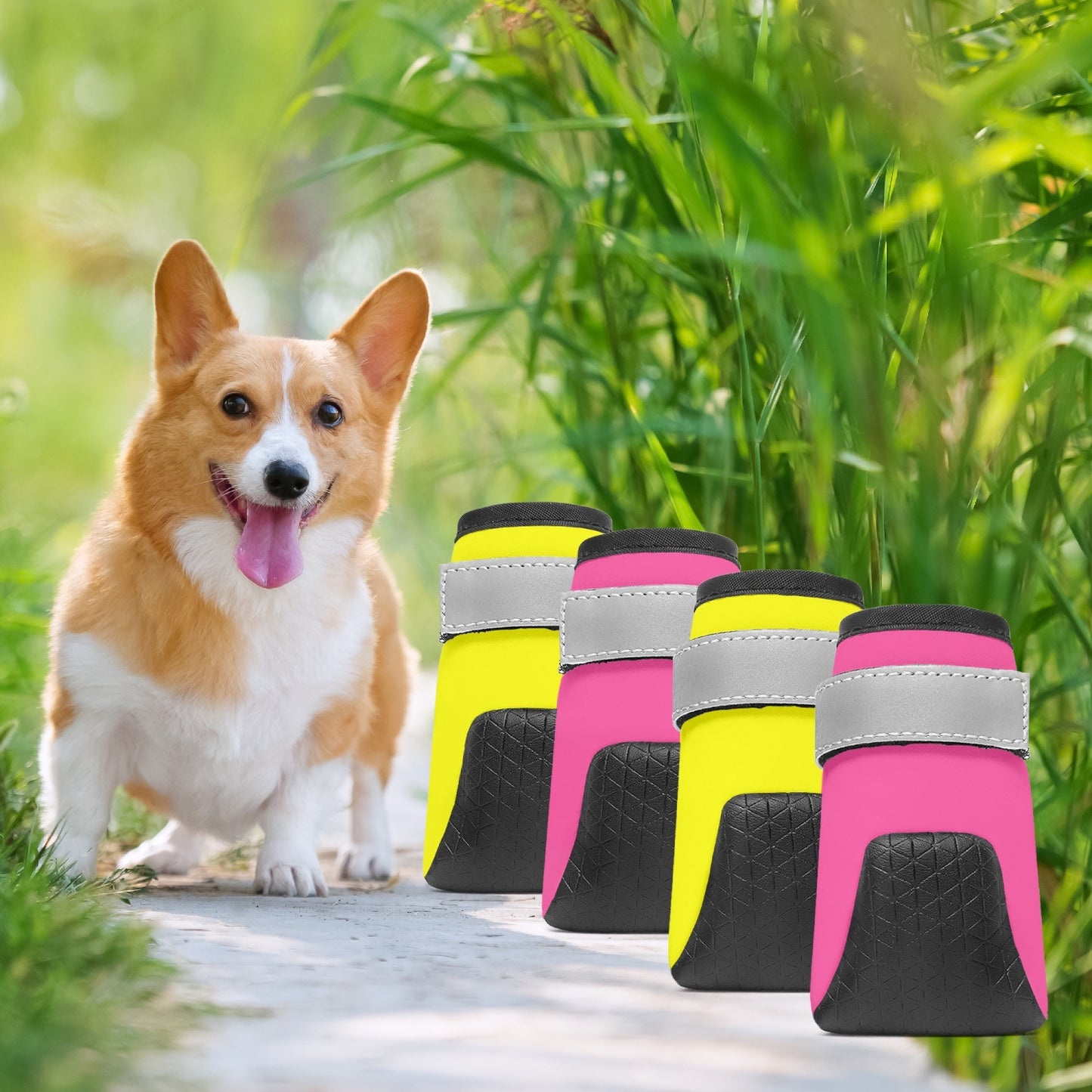 523. Pet Booties for Dogs