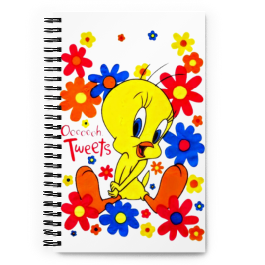 Spiral notebook