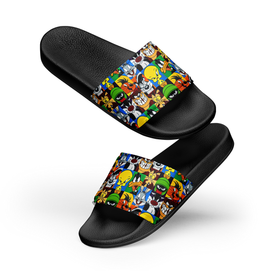 Slides