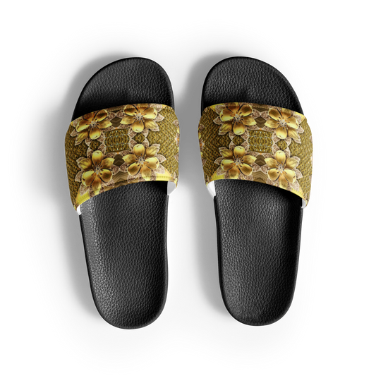 Slides